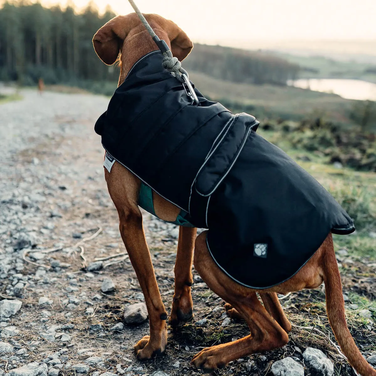 Danish Design Harness Friendly Dog Coat in Black